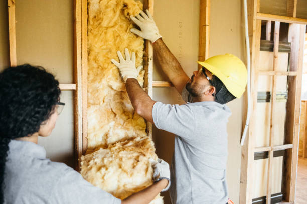 Insulation Inspection Services in Epworth, IA