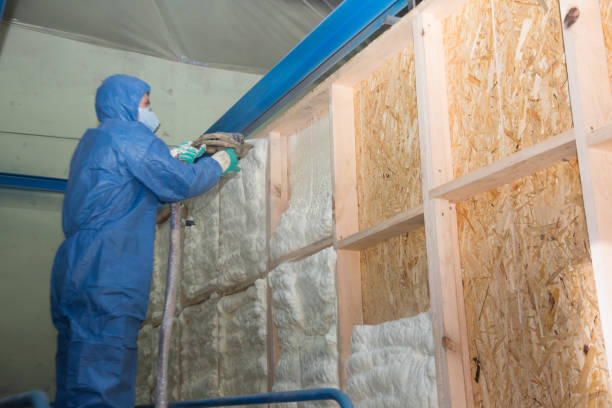 Attic Insulation Near Me in Epworth, IA